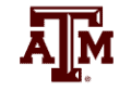 Texas AM University Logo